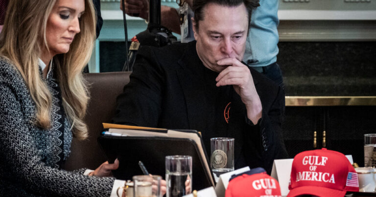 Musk Is Less Confident About DOGE Goals, 100 Days Into Trump Presidency