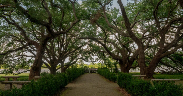 Trump’s Order to Sanitize Black History Meets Institutional Resistance