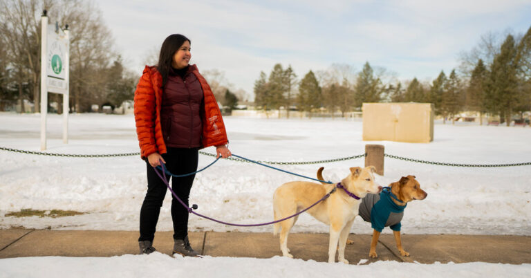 A Reporter Takes Pause at the Career Pause