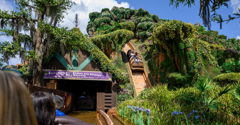 Disney’s Park Business Grows Despite Consumer Angst