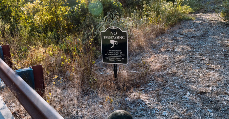 Elon Musk Tried Keeping Issues at His Texas Mansion Private, Emails Show