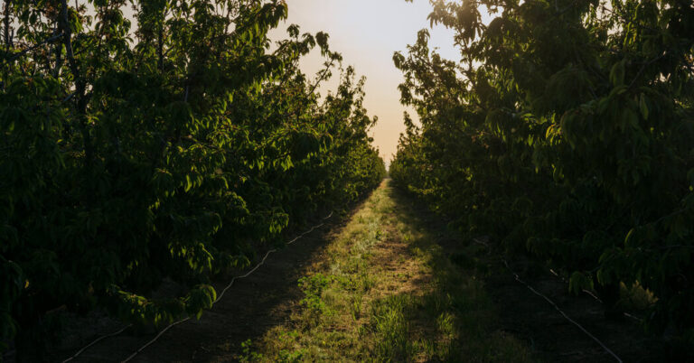 A Scenic Tour of Red Tape: Tracking the Slowest High-Speed Train in the Country