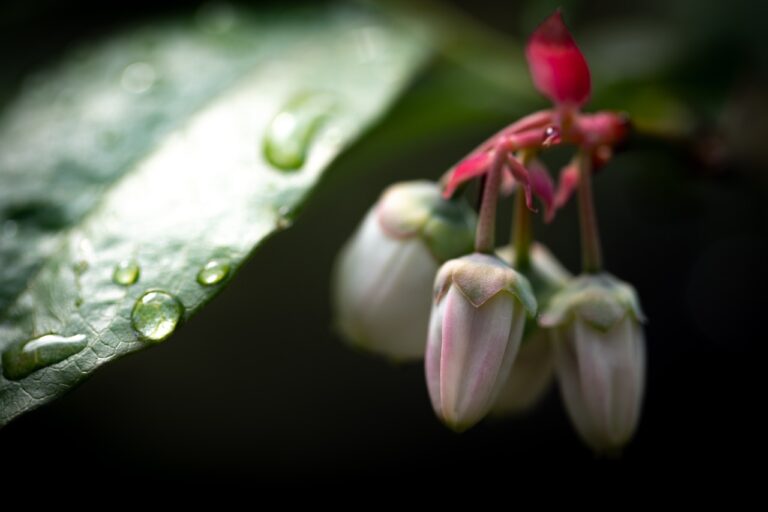 Mass. weather: Heavy rain, severe thunderstorms on radar Tuesday