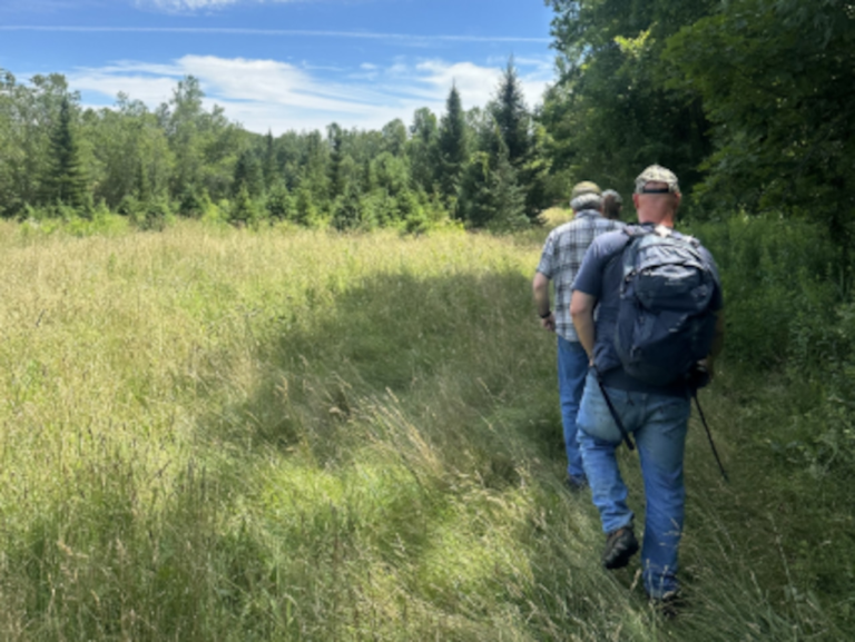 Conservancy buys 578-acres in Blandford for cross-Mass Pike wildlife path