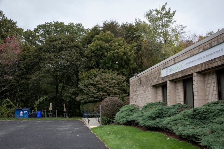 A bald eagle, a bulldozer, and a ballot box: Holyoke residents want the city to save Elmwood Forest