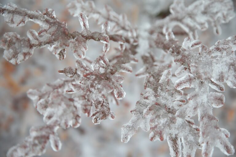 Mass. weather: Cold, dry Sunday leads to frigid arctic blast overnight