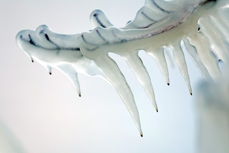 Mass. weather: Arctic blast plunges state into deep freeze Sunday night