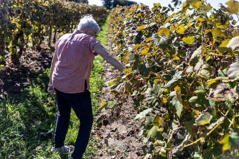 Michigan family has 7 Parkinson’s cases. Did weed killer play a role?