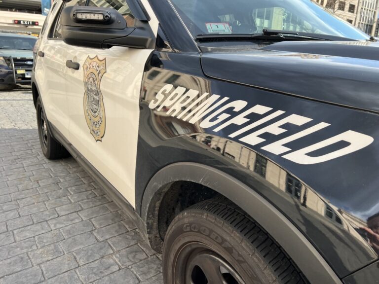 Armed man in mental health crisis shot dead by Springfield officer, police say